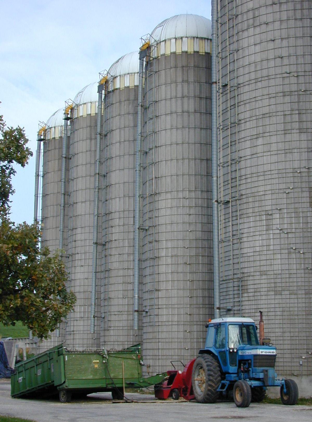 Silo towers