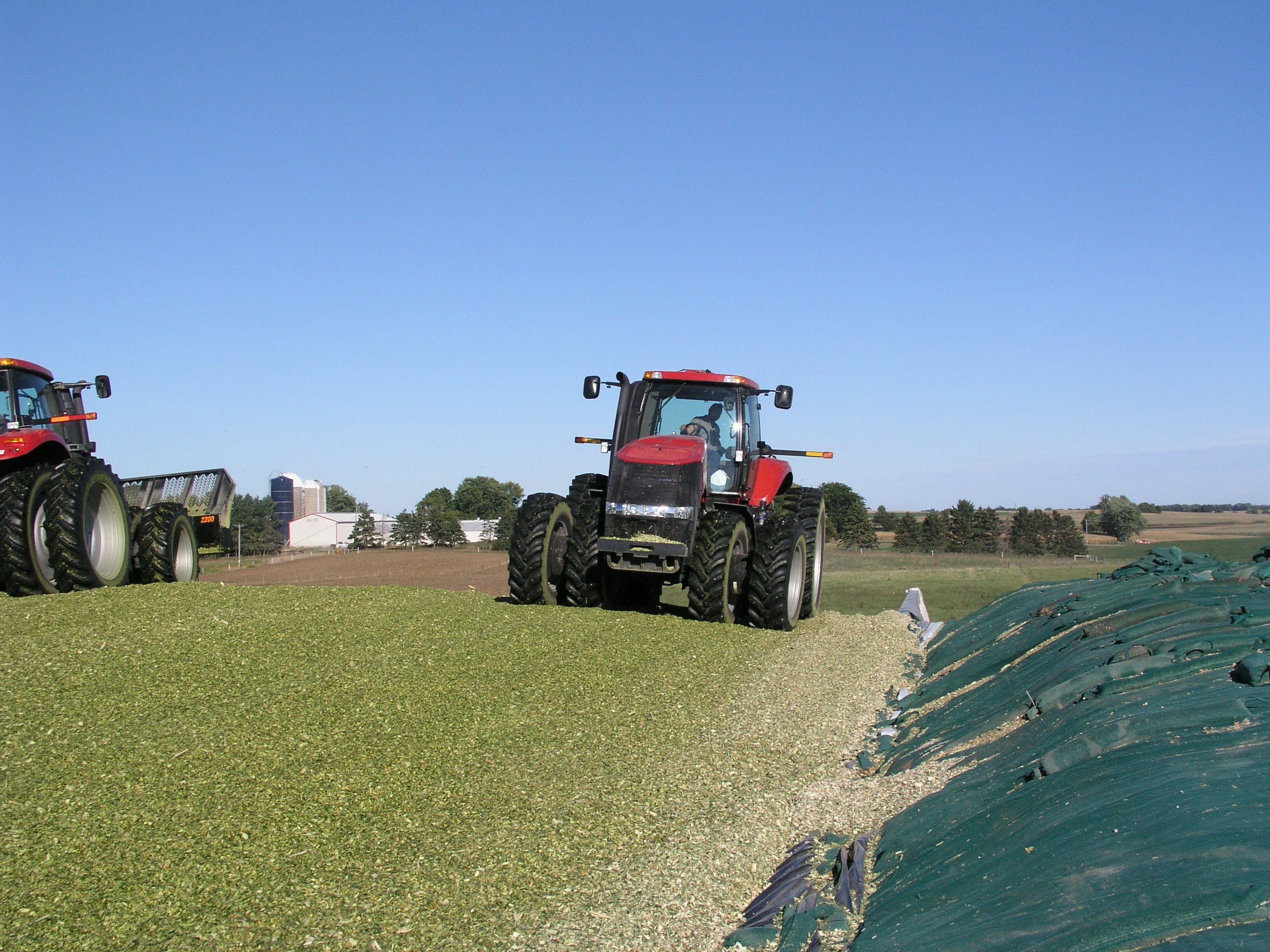 Tractors driving over feed