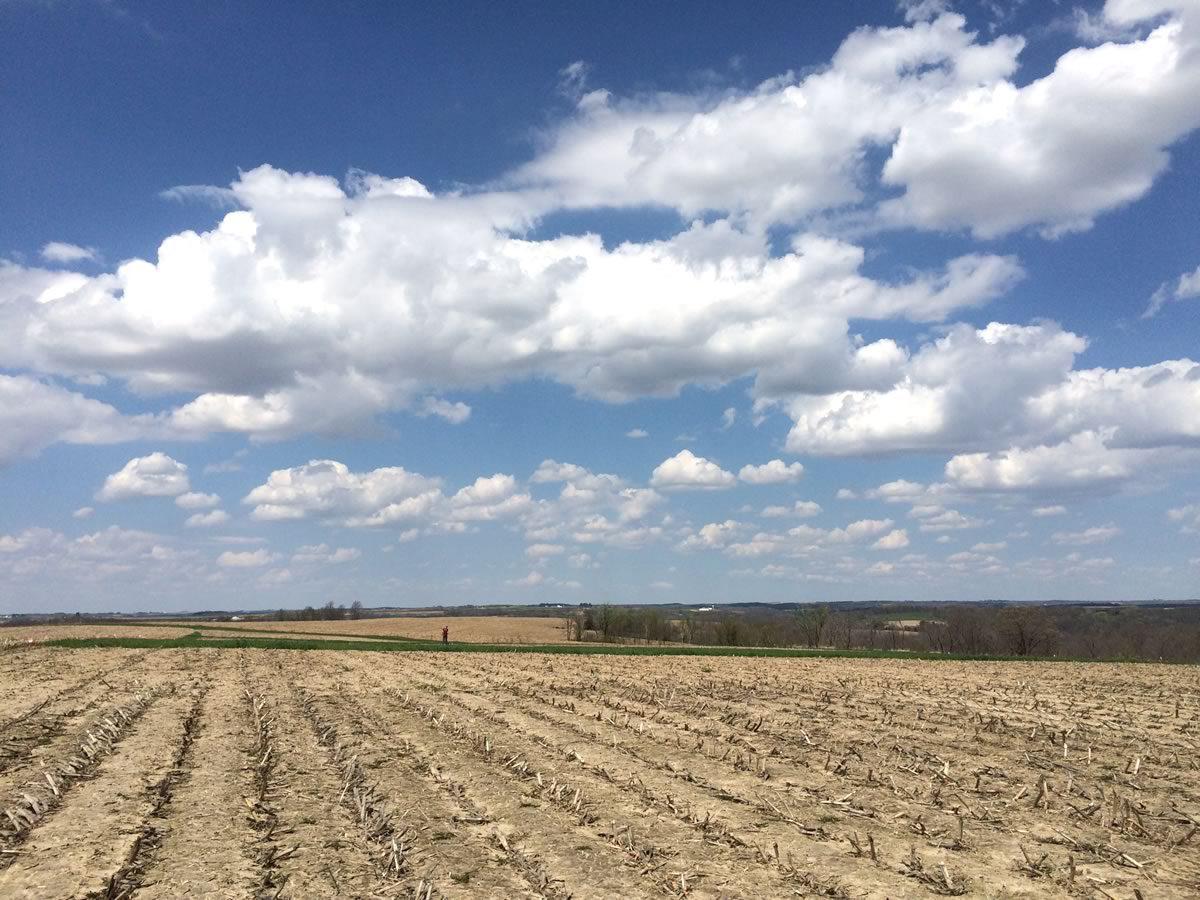 Field in spring with no manure applied