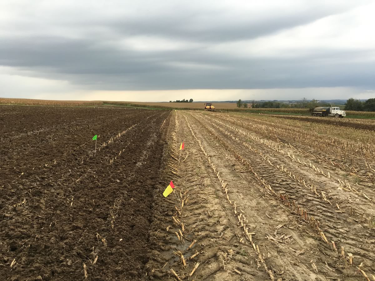 Spreading manure on a field